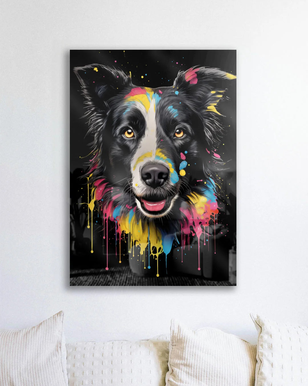 Brilliant Border Collie