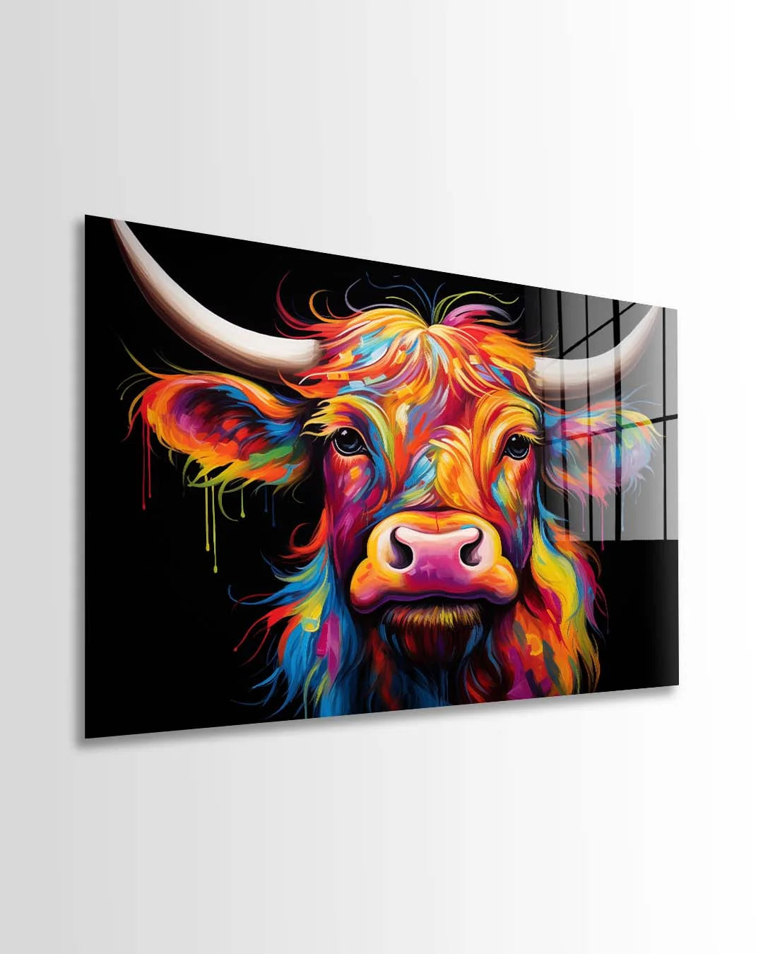 Highlands Cow