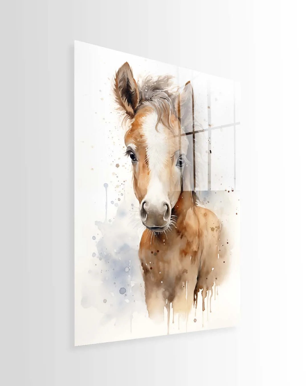 Horse Foal