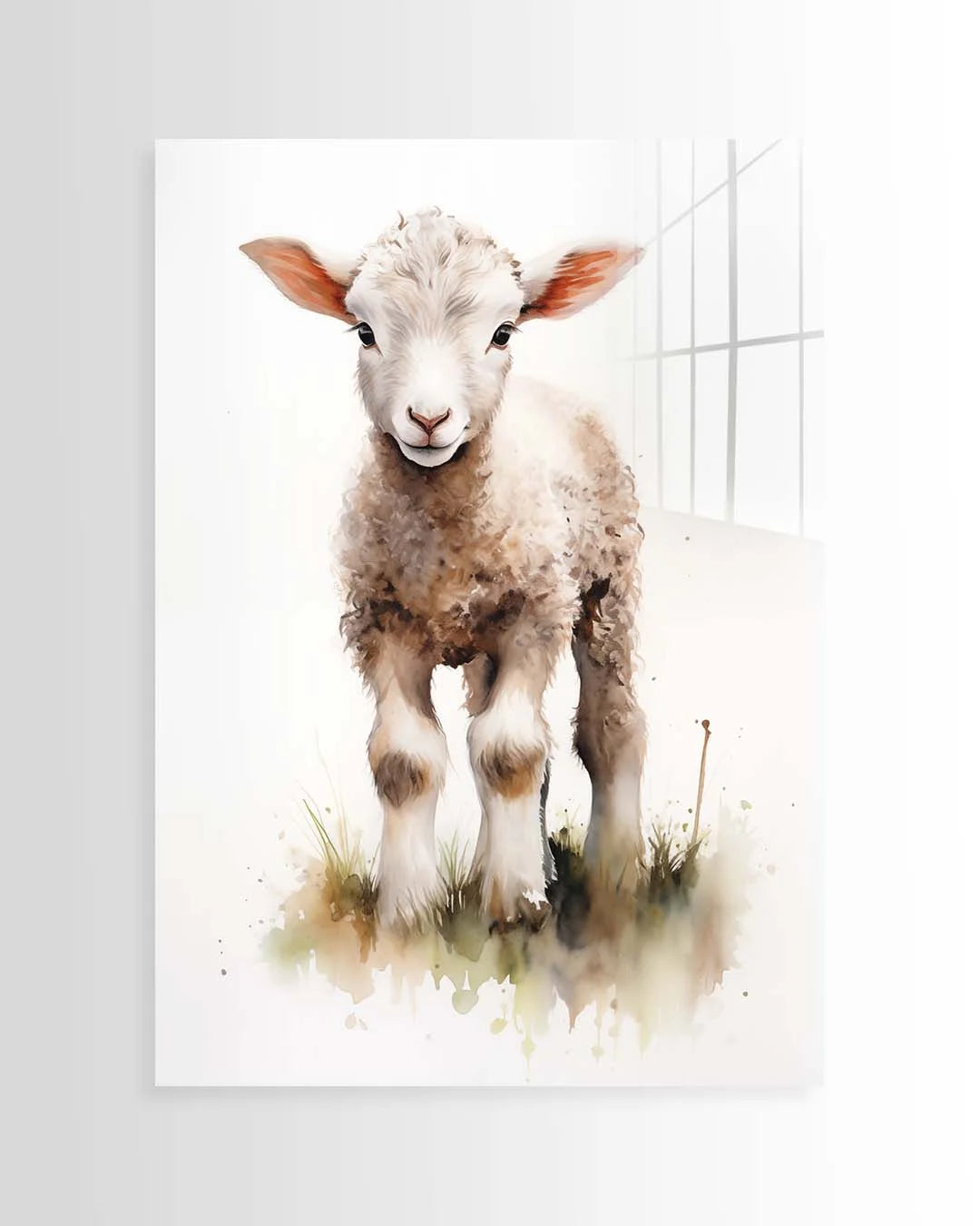 Baby Lamb