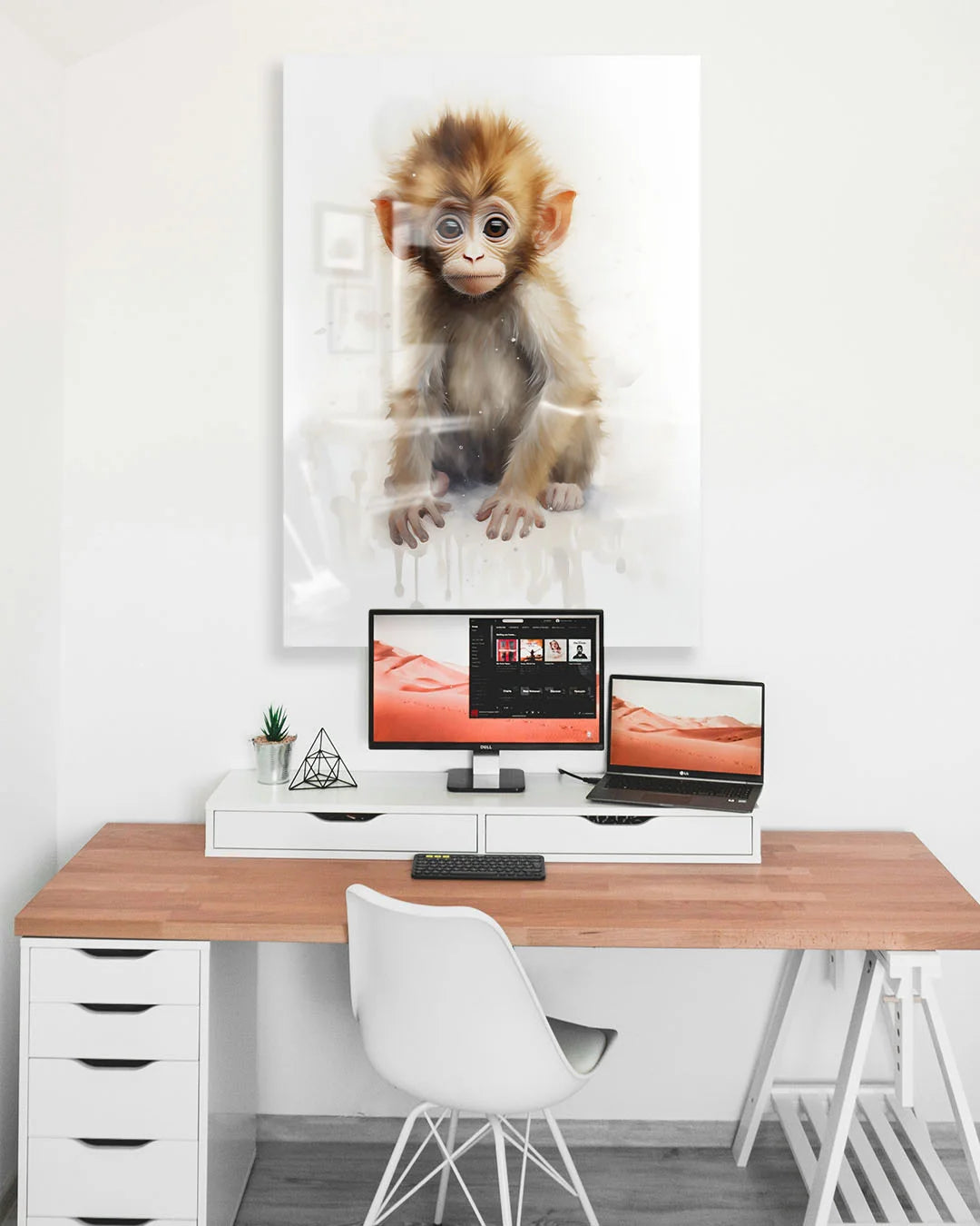 Monkey Infant