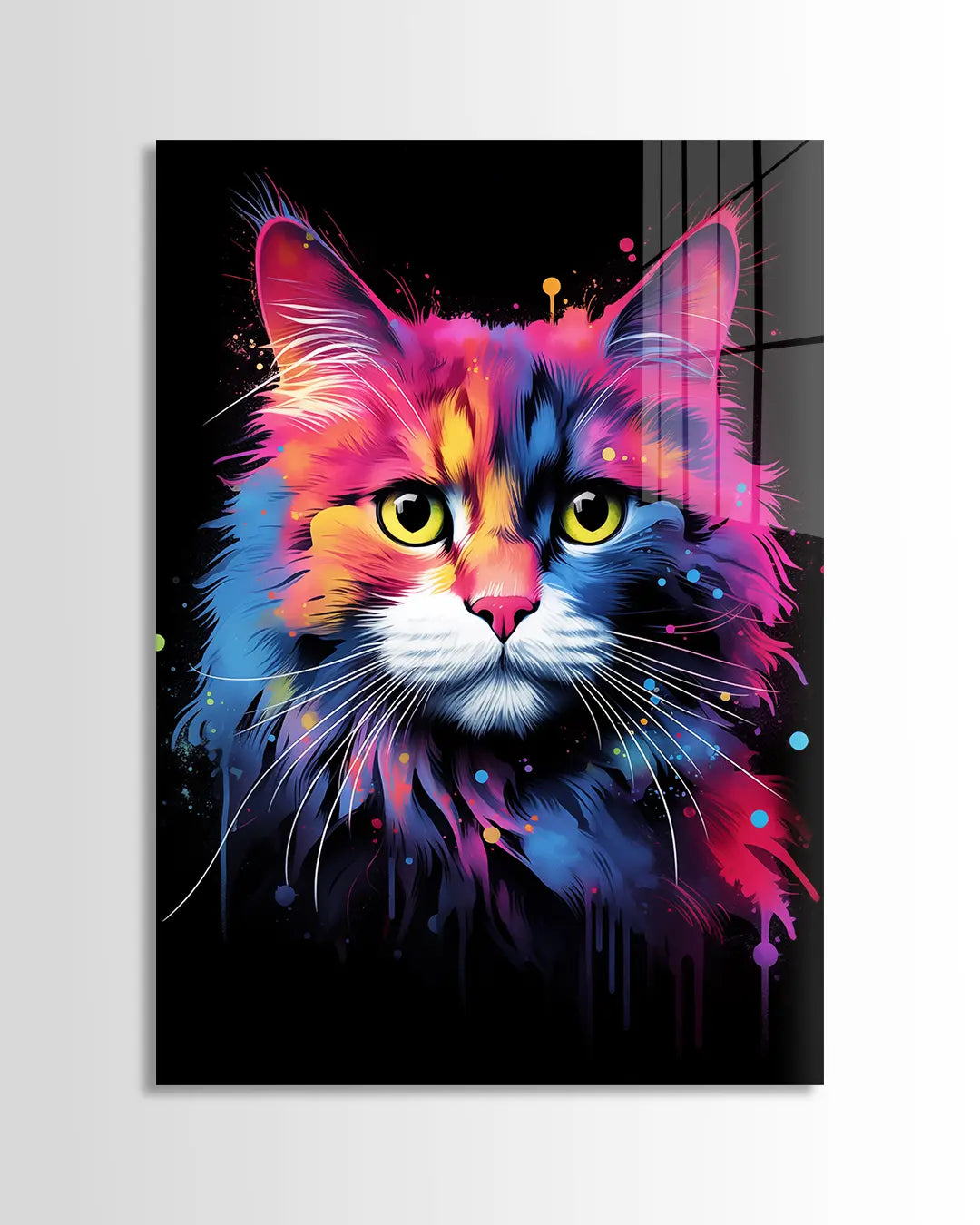 Ragdoll