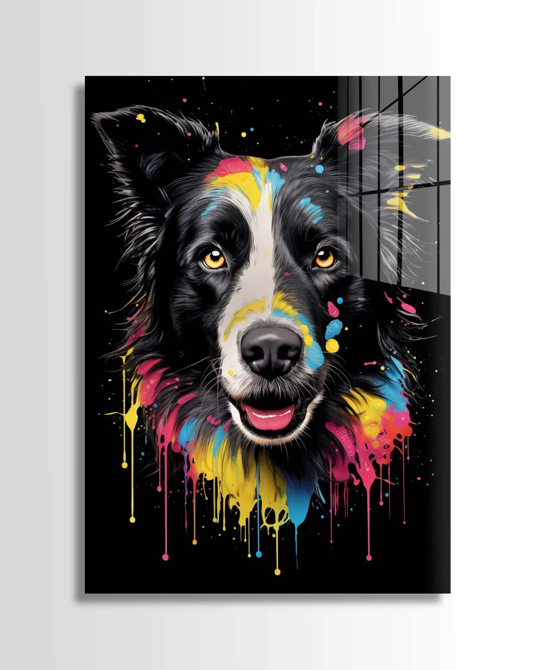Brilliant Border Collie