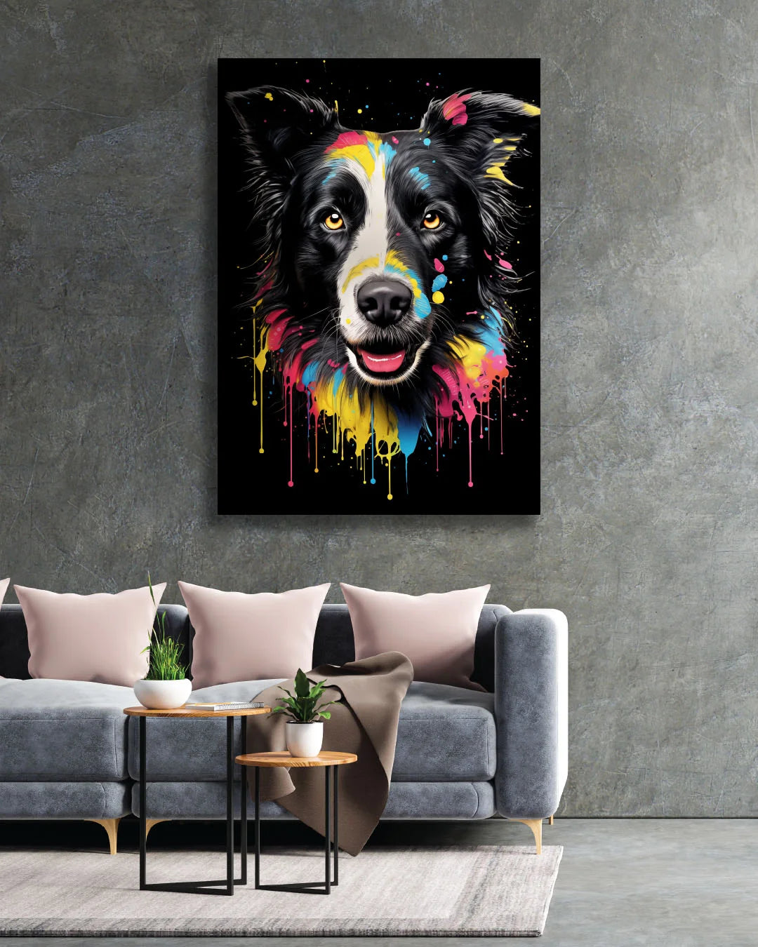 Brilliant Border Collie