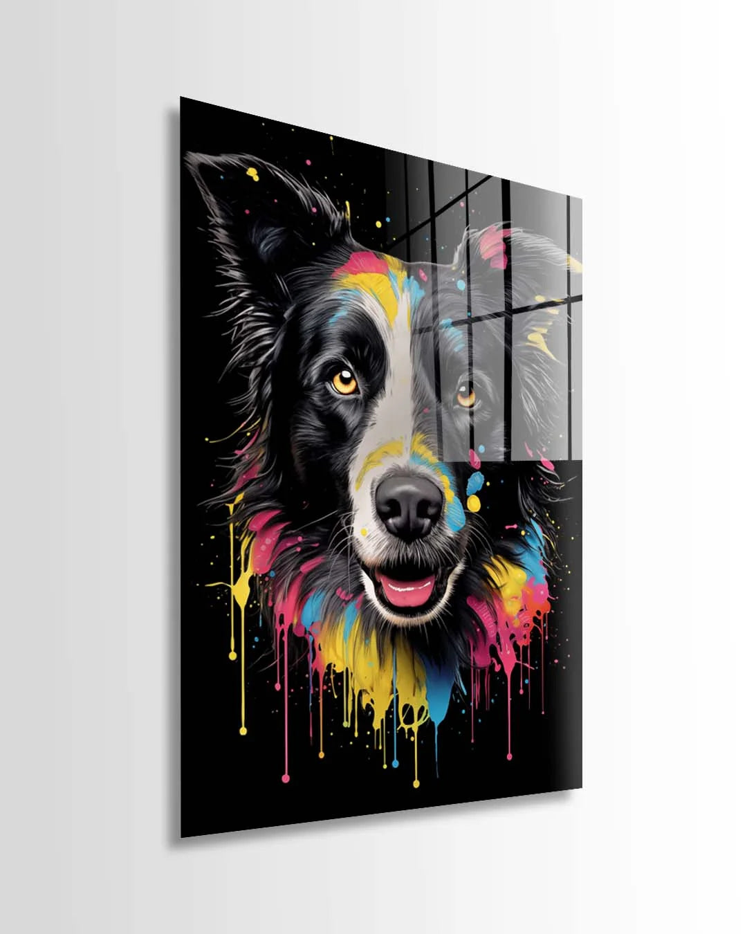 Brilliant Border Collie