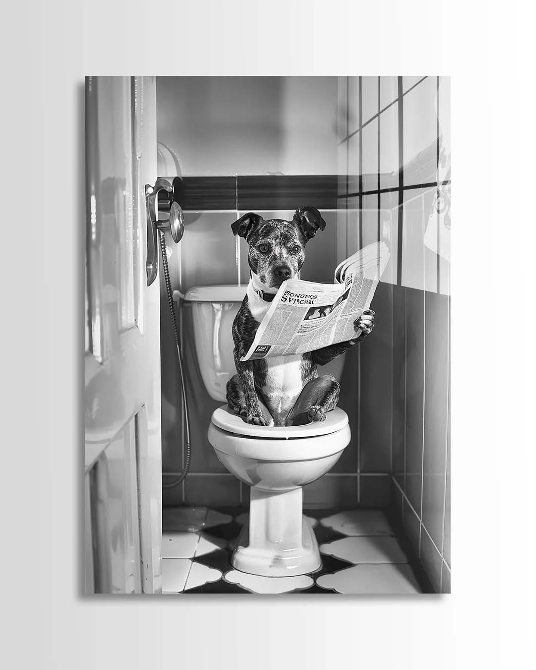 Dog Newspaper