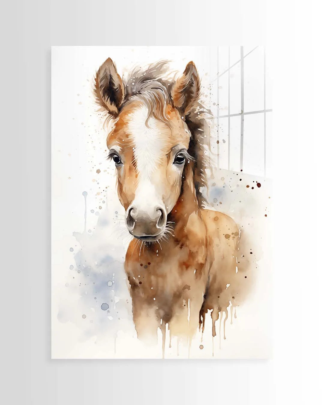 Horse Foal