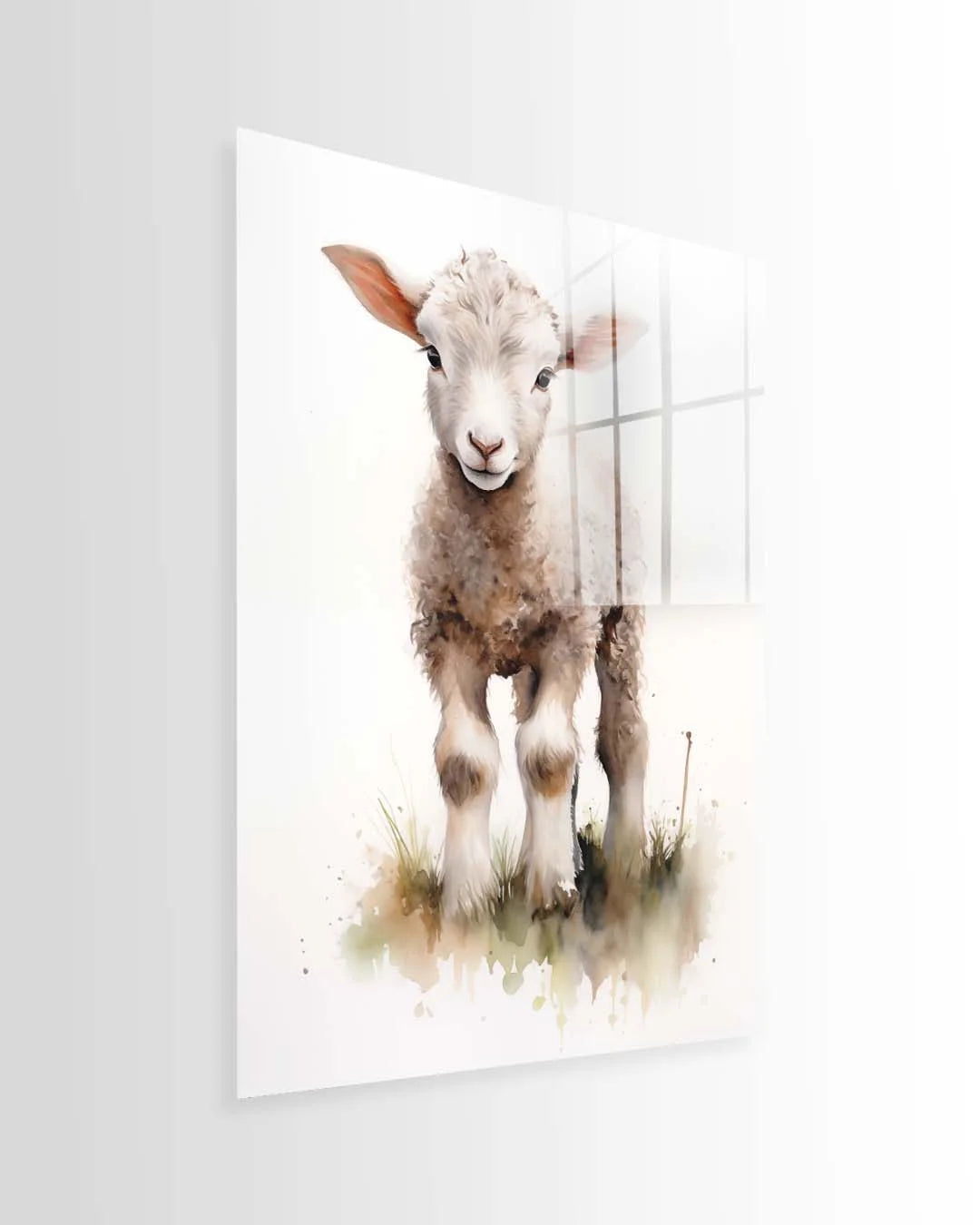 Baby Lamb