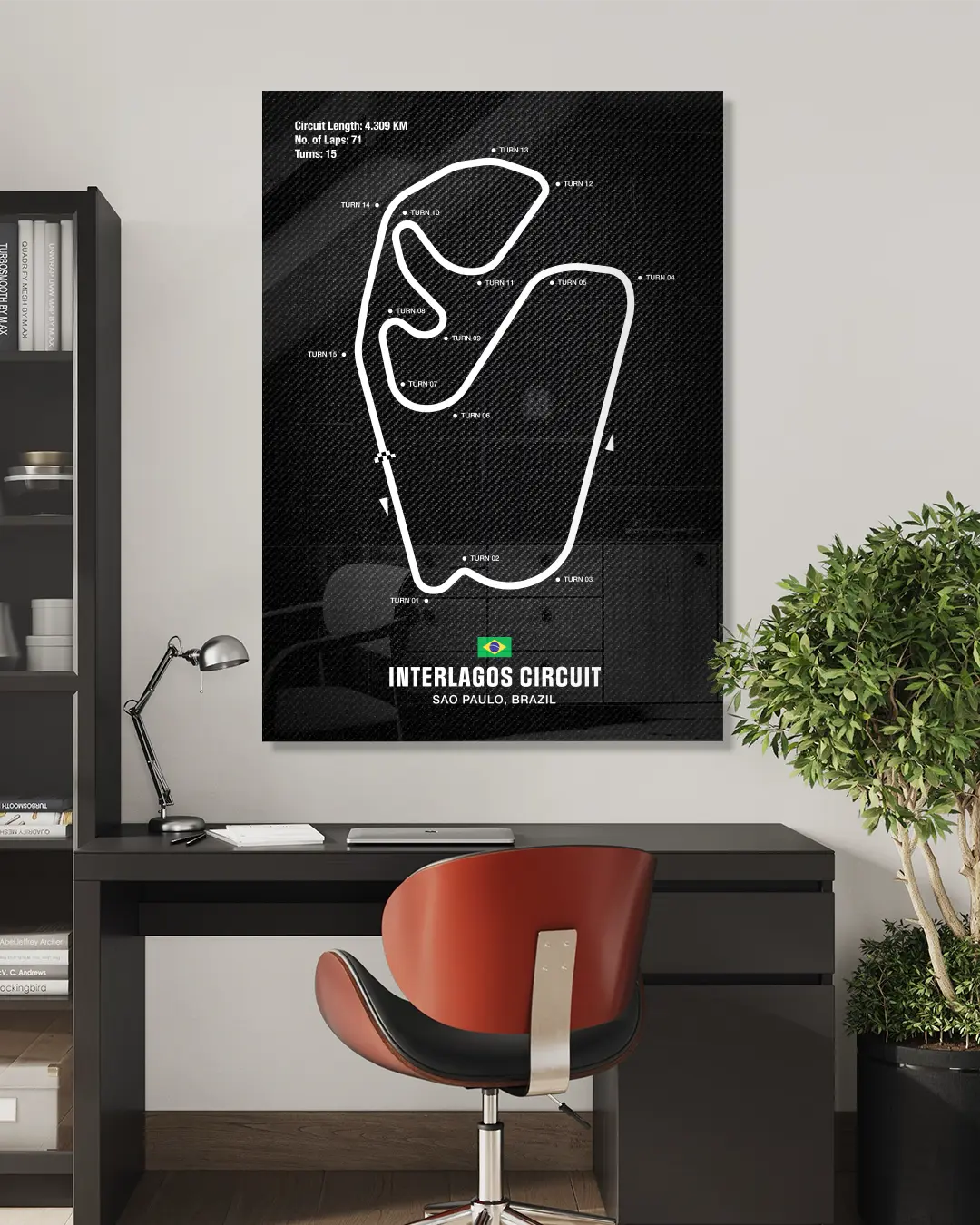 Interlagos Circuit